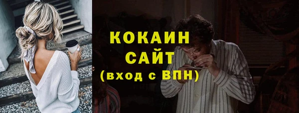 твердый Арсеньев