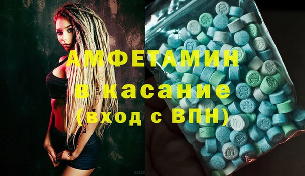 гидра Аркадак