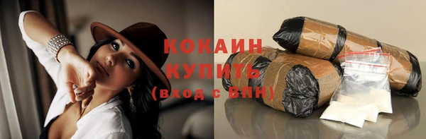гидра Аркадак