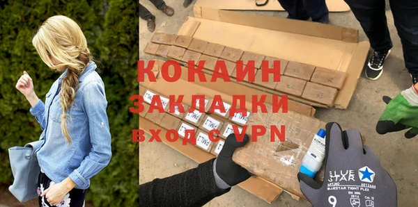 твердый Арсеньев