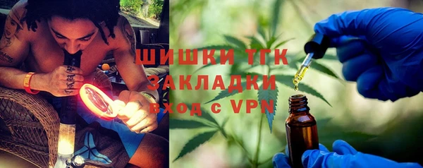 твердый Арсеньев
