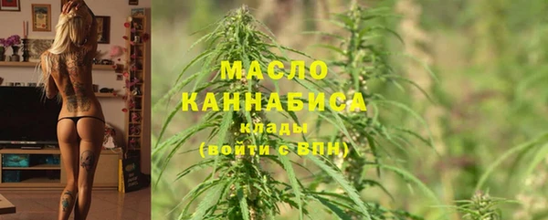 гидра Аркадак