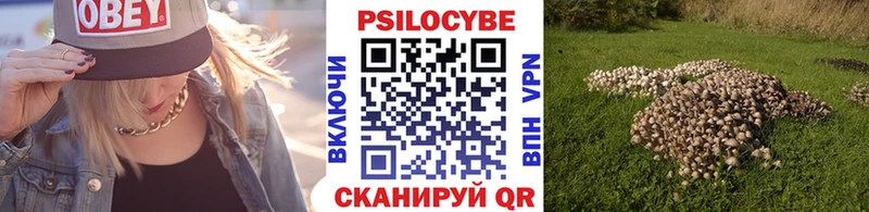 купить закладку  Россошь  Псилоцибиновые грибы мухоморы 