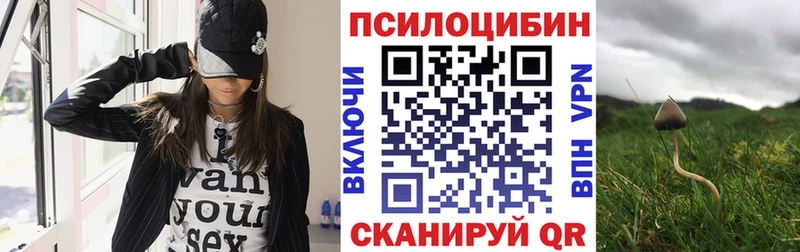 Псилоцибиновые грибы Magic Shrooms Россошь